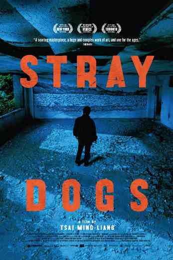 دانلود فیلم Stray Dogs 2013