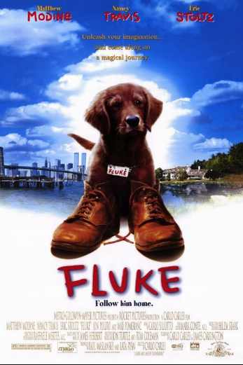 دانلود فیلم Fluke 1995