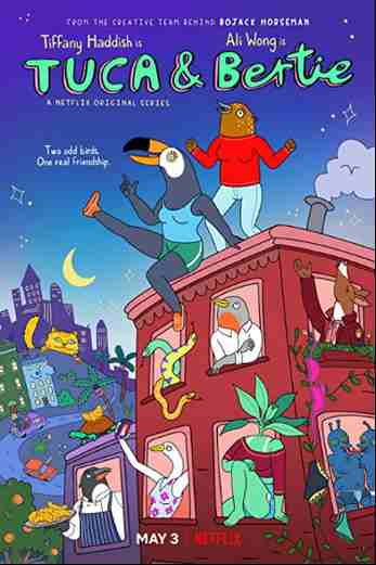 دانلود سریال Tuca & Bertie 2019