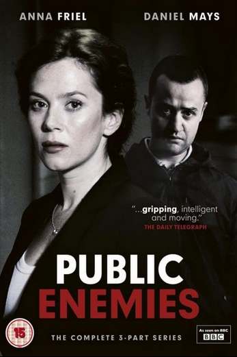 دانلود سریال Public Enemies 2012