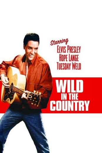 دانلود فیلم Wild in the Country 1961