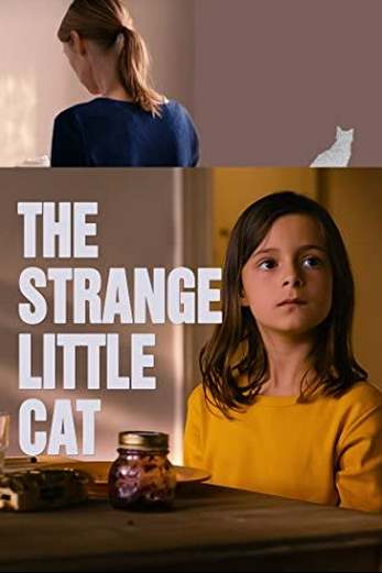 دانلود فیلم The Strange Little Cat 2013 زیرنویس چسبیده