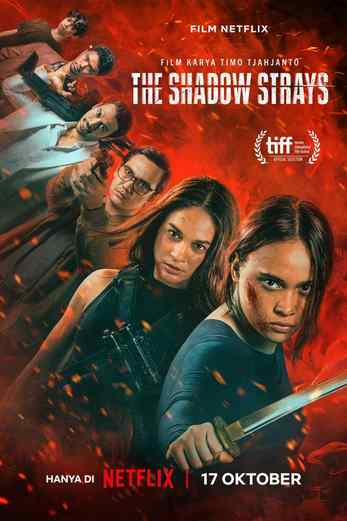 دانلود فیلم The Shadow Strays 2024 دوبله فارسی