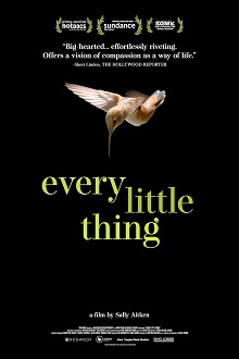 دانلود مستند Every Little Thing 2024 با زیرنویس فارسی چسبیده